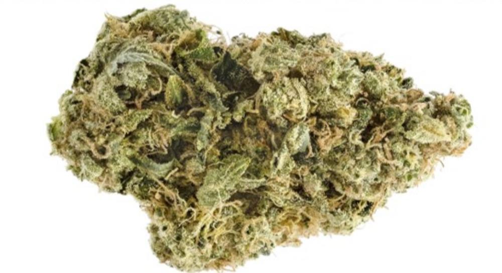 Chem Cheese